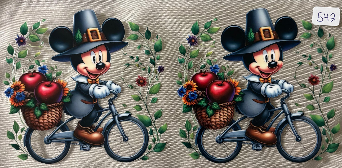 Mickey on bike542