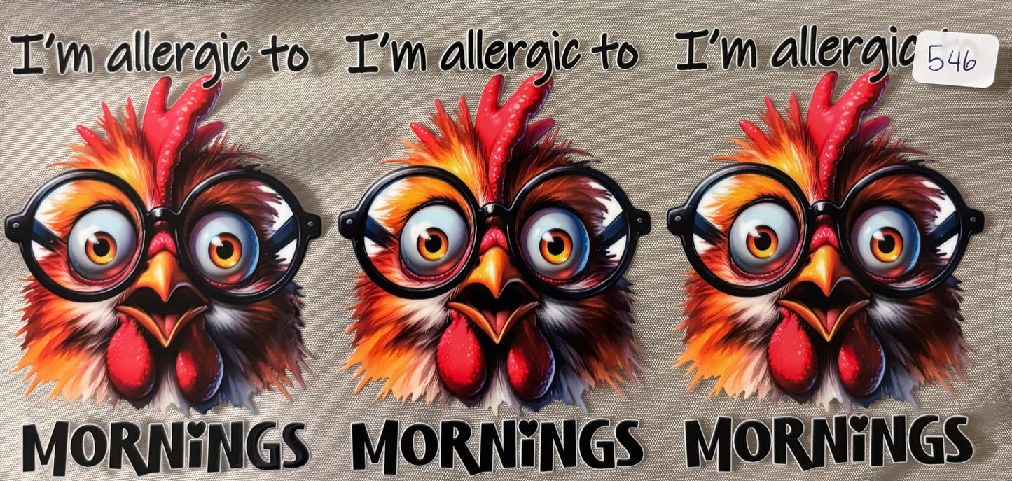 Chicken in Morning546
