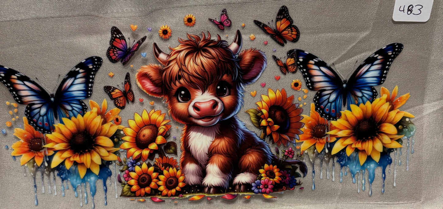 Cow483