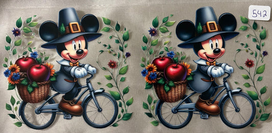 Mickey on bike542