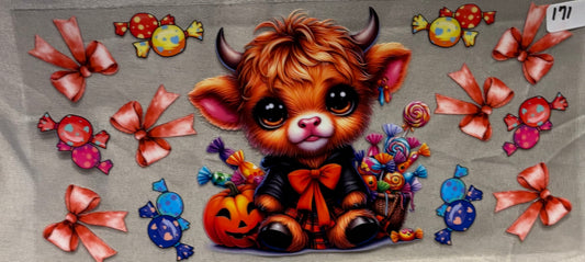 Cow171