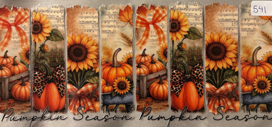 Pumpkins541